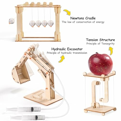 STEM toy set including Newton's Cradle, hydraulic excavator, and tension structure.